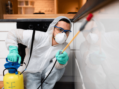 About Copperhead Creek Solutions - pest extermination services experts in Springfield